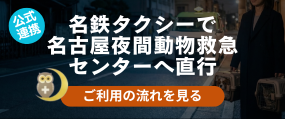 名古屋夜間動物救急センター